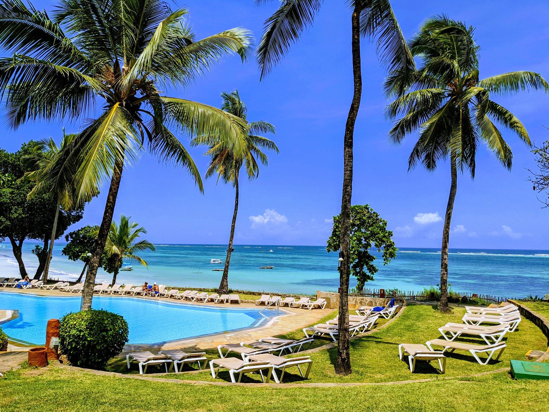 Palm trees beside a sunlit pool on the coast